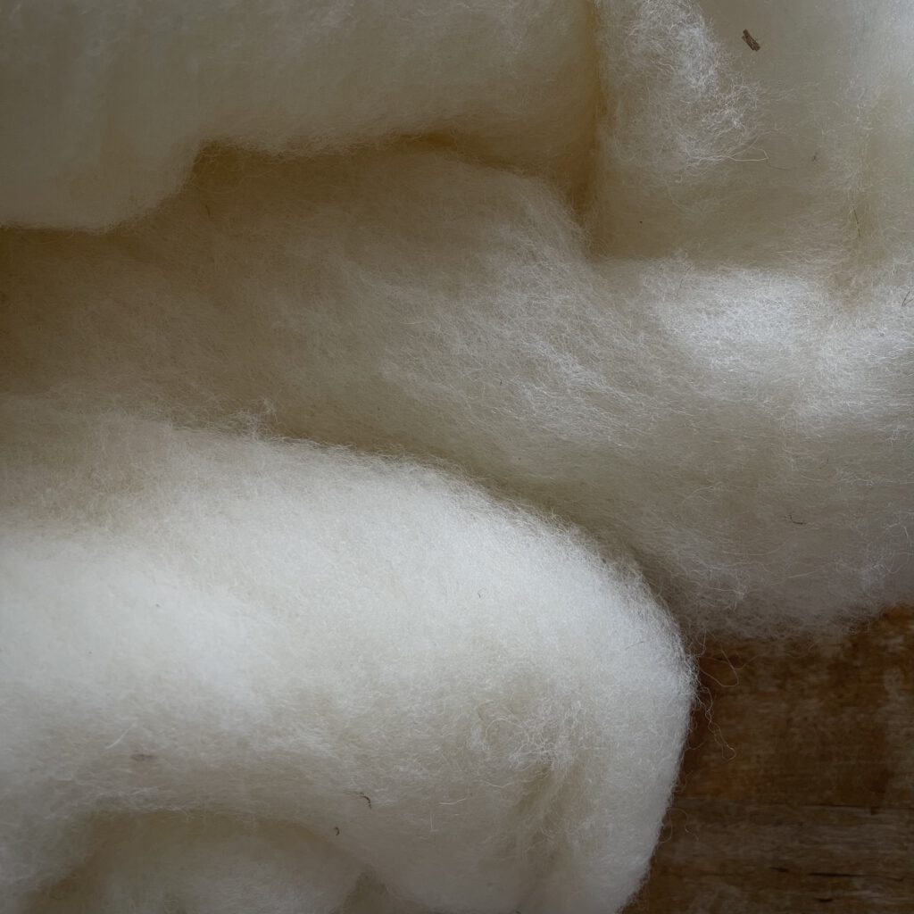 Organic Wool from the Lüneburger Heide